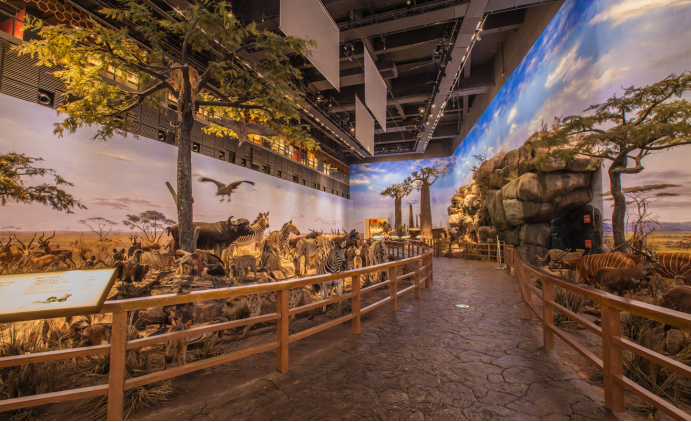 展廳設(shè)計(jì)|展館設(shè)計(jì)|規(guī)劃館設(shè)計(jì)|博物館設(shè)計(jì)|檔案館設(shè)計(jì)|企業(yè)展廳設(shè)計(jì)|主題游樂館設(shè)計(jì)|校園文化館設(shè)計(jì)|文博館設(shè)計(jì)|多媒體展廳|展廳展館設(shè)計(jì)施工公司|特發(fā)國際|特發(fā) 展廳設(shè)計(jì)|展館設(shè)計(jì)|規(guī)劃館設(shè)計(jì)|博物館設(shè)計(jì)|檔案館設(shè)計(jì)|企業(yè)展廳設(shè)計(jì)|主題游樂館設(shè)計(jì)|校園文化館設(shè)計(jì)|文博館設(shè)計(jì)|多媒體展廳|展廳展館設(shè)計(jì)施工公司|特發(fā)國際|特發(fā)