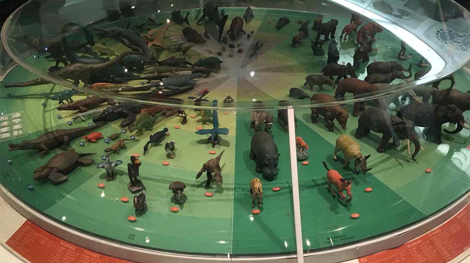 展廳設計|展館設計|主題游樂館設計|校園文化館設計|多媒體展廳|文博館設計|規(guī)劃館設計|展廳展館設計施工公司 展廳設計|展館設計|主題游樂館設計|校園文化館設計|多媒體展廳|文博館設計|規(guī)劃館設計|展廳展館設計施工公司