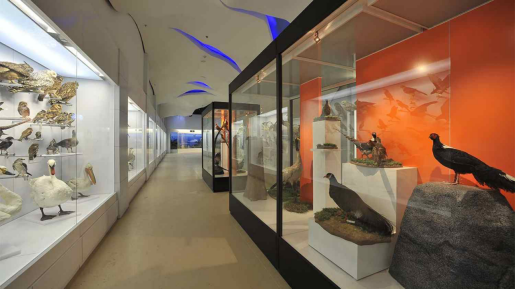 展廳設計|展館設計|主題游樂館設計|校園文化館設計|多媒體展廳|文博館設計|規(guī)劃館設計|展廳展館設計施工公司 展廳設計|展館設計|主題游樂館設計|校園文化館設計|多媒體展廳|文博館設計|規(guī)劃館設計|展廳展館設計施工公司